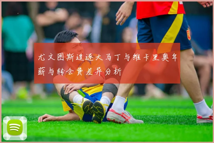 尤文图斯追逐大马丁与维卡里奥年薪与转会费差异分析