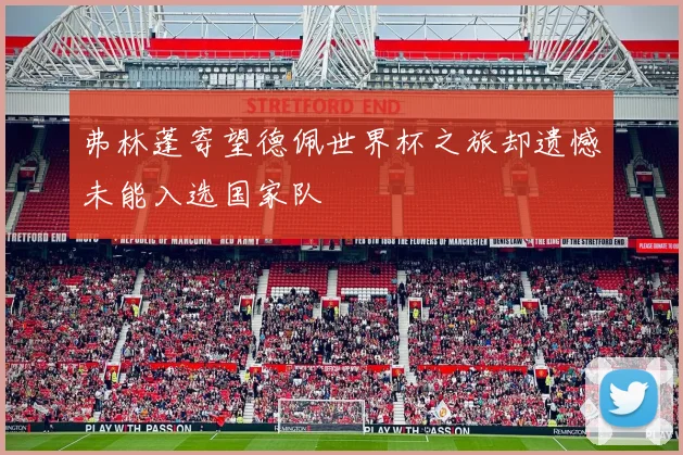 弗林蓬寄望德佩世界杯之旅却遗憾未能入选国家队